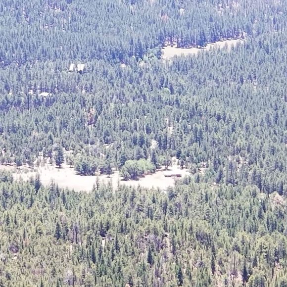 Meet your Posher, Joseph - Picture 1 of 1